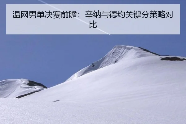 温网男单决赛前瞻：辛纳与德约关键分策略对比
