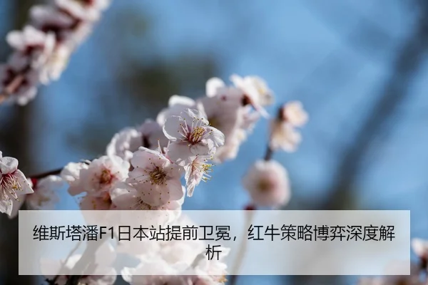 wei-si-ta-pan-ri-ben-zhan-ti-qian-wei-mian-hong-niu-ce-lve-bo-yi-shen-du-jie-xi-2-132.jpg