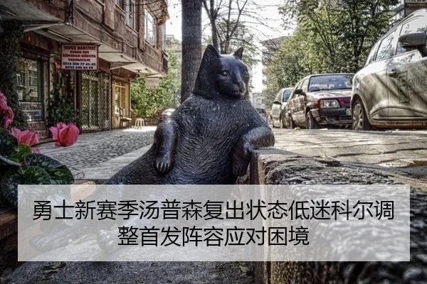 yong-shi-xin-sai-ji-tang-pu-sen-fu-chu-zhuang-tai-di-mi-ke-er-tiao-zheng-shou-fa-zhen-rong-ying-dui-kun-jing-2-618.jpg
