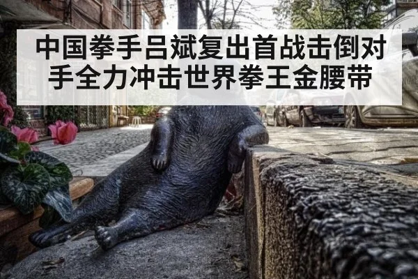 中国拳手吕斌复出首战击倒对手全力冲击世界拳王金腰带